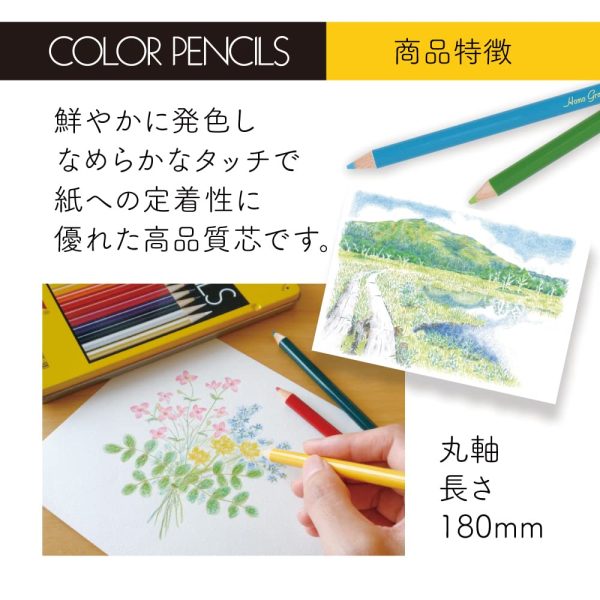 Tombow Japan Colored Pencils Paper Box 12 Colors Cq-Na12C For Cheap - Image 5
