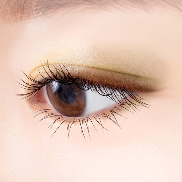 Excel Japan Real Close Shadow Cs05 Palette Eyeshadow (Beige Mouton) Cheap - Image 4